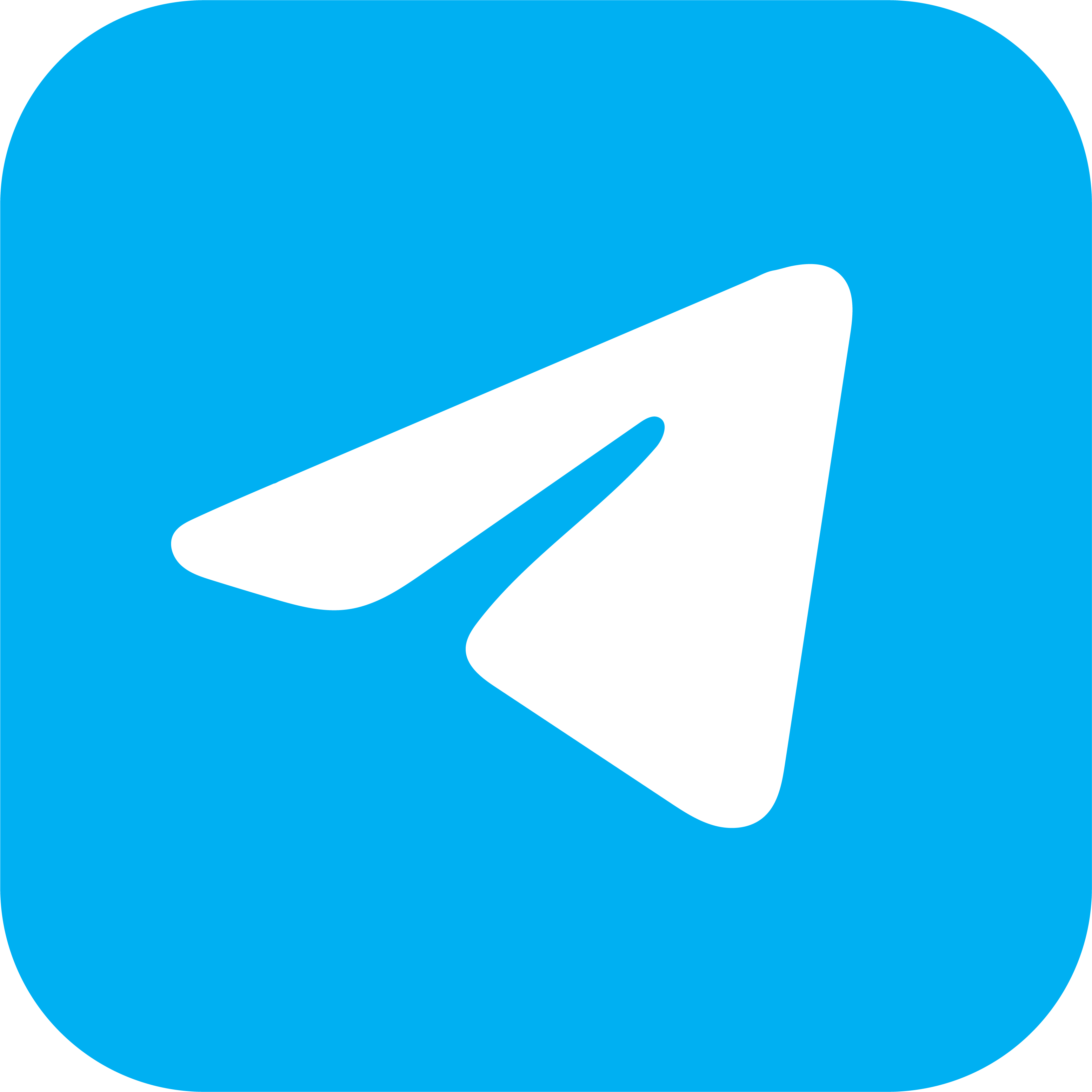 تلگرام رسمی ونیش فارسی